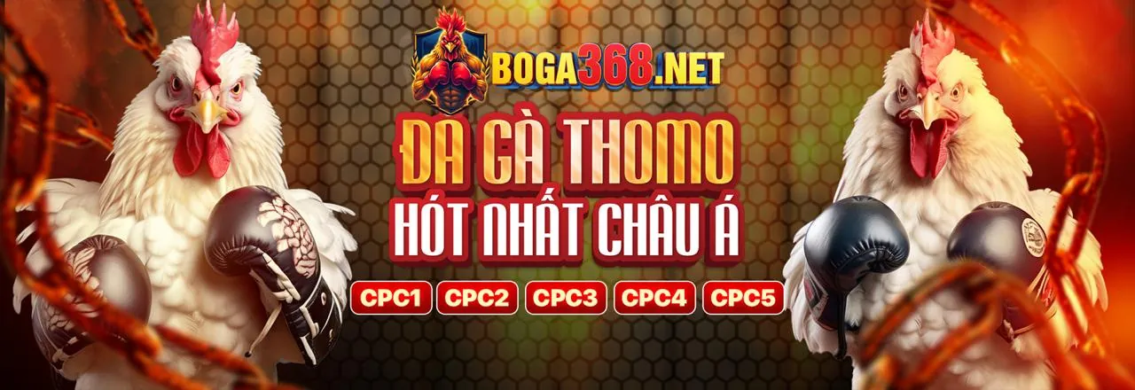 Hình ảnh giao dịch tài chính an toàn tại KU77